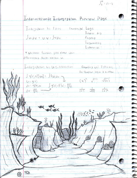 Page 80 (u-substitution)